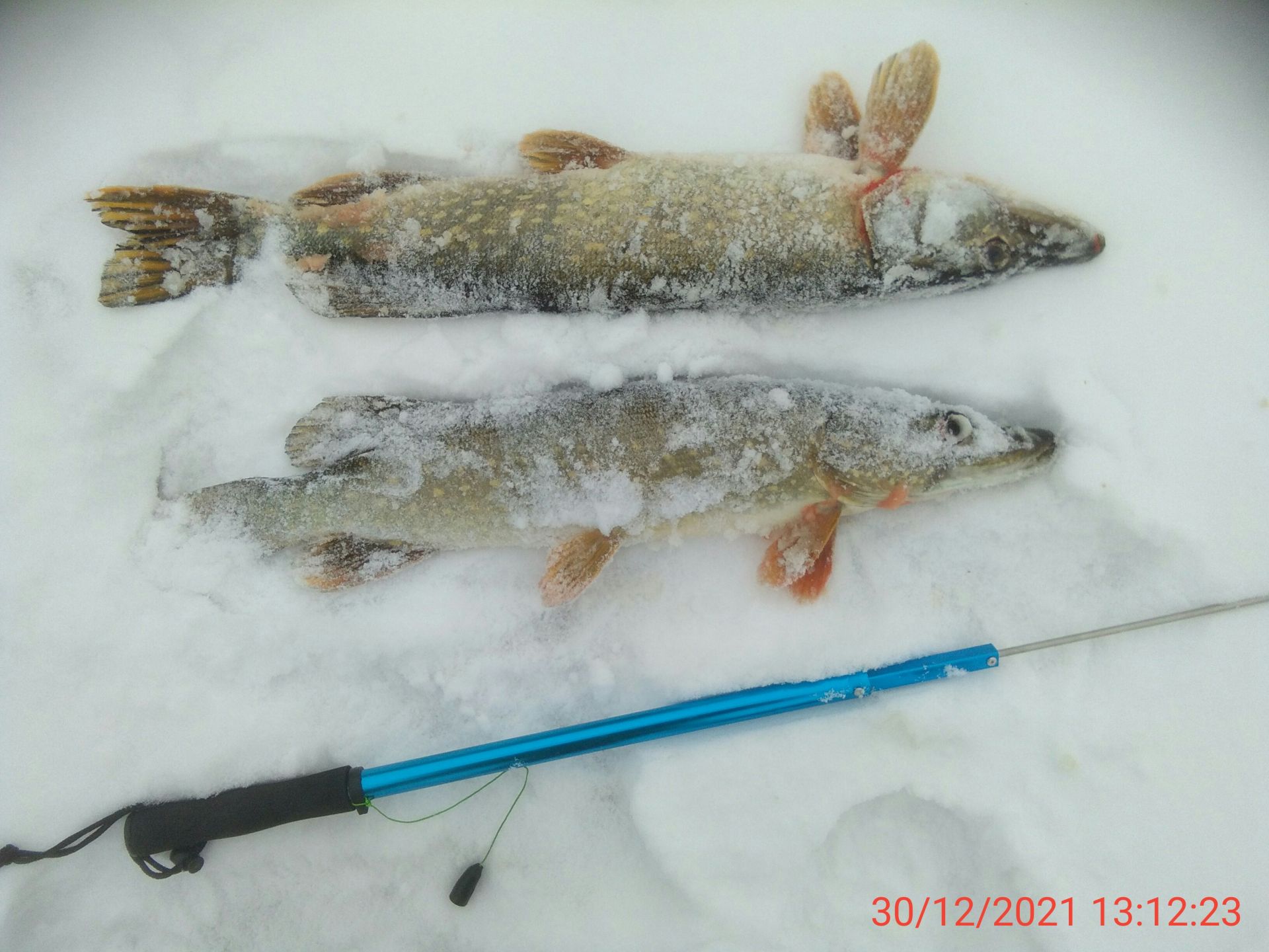  Рыбалка фото зі звіту про риболовлю  11843